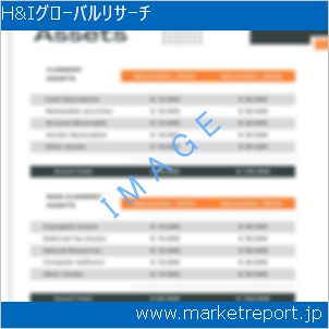 市場と産業調査レポートのイメージ